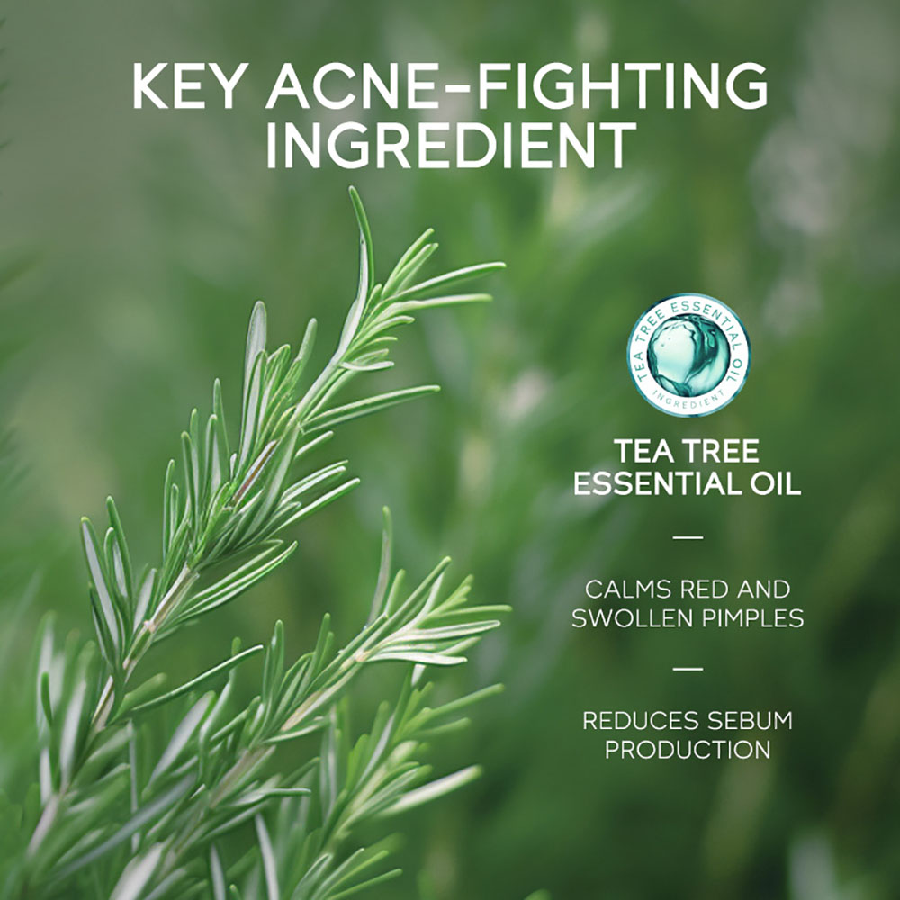 LAIKOU Tea Tree Acne Gel 15g,  - Tea Tree Spot Treatment review and price