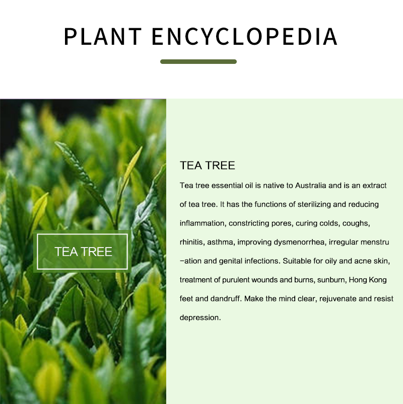 100% Pure Tea Tree Essential O - Tea Tree Spot Treatment review and price