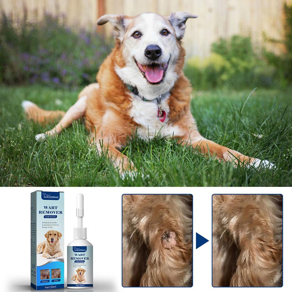 Pets Dog Wart Remover Natural  - Skincare Animate review and price