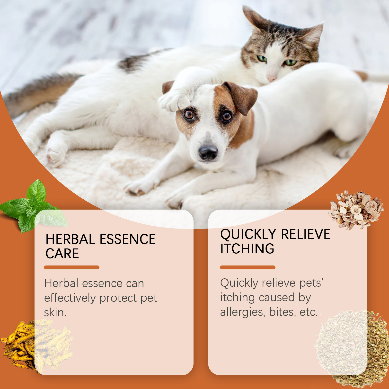 New Pet Antiitch Antiallergic  - Skincare Animate review and price