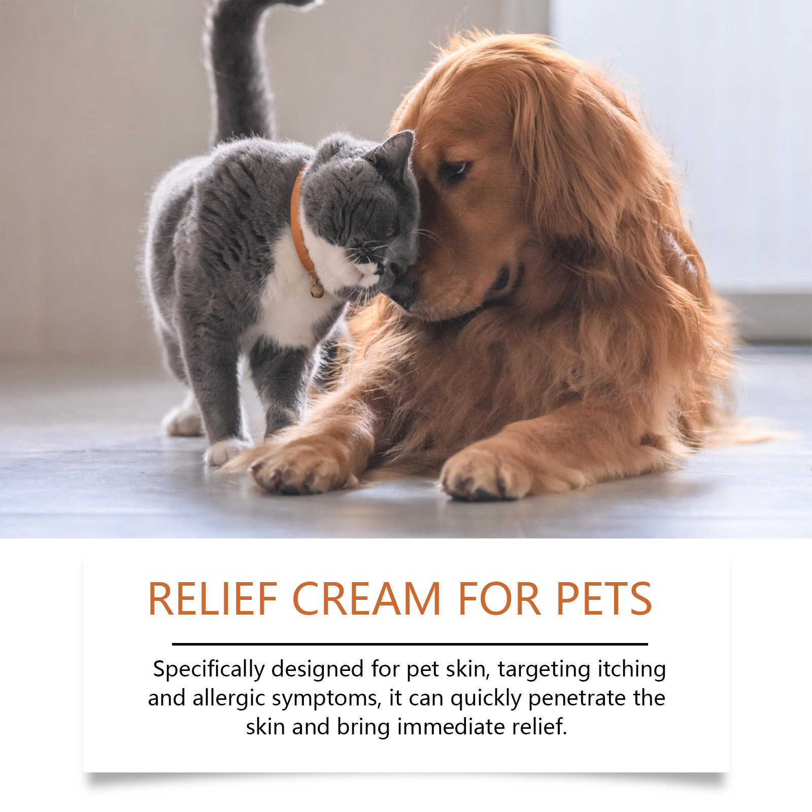 New Pet Antiitch Antiallergic  - Skincare Animate review and price